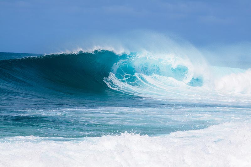 Winter swells create high surf conditions on the North Shore of Oahu. Joshua Rainey/Shutterstock.com