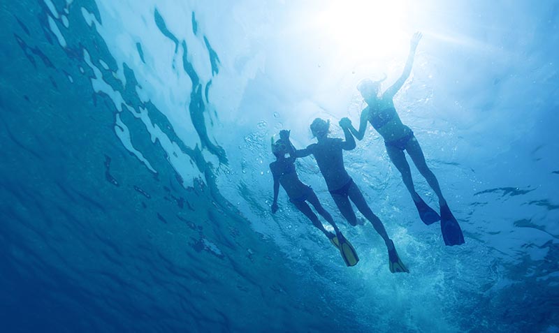 All snorkelers should be experienced at swimming in the ocean. Dudarev Mikhail/Shutterstock.com