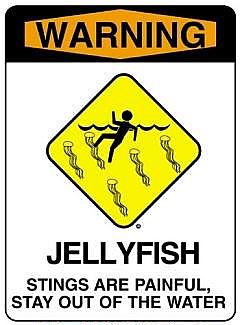jellyfish sign